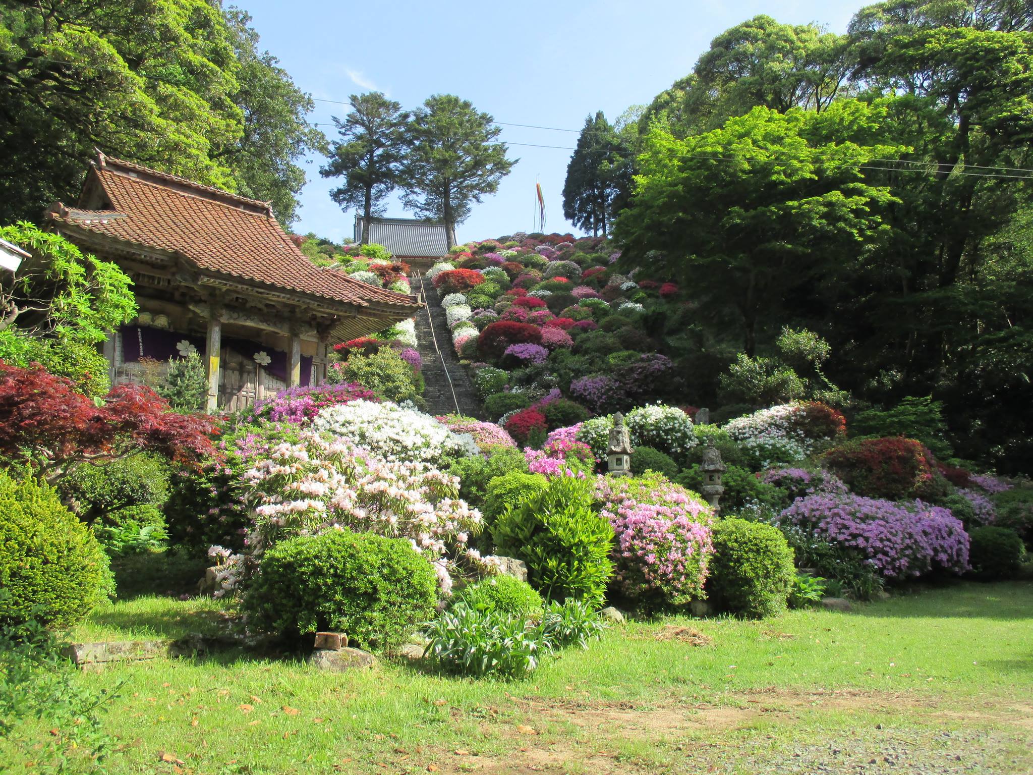 5/5　高野寺　つつじ祭り　柴燈大護摩供