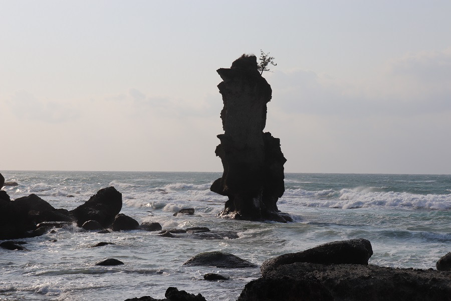 少し春めいてきたものの、風が強く海はまだかなり波があります