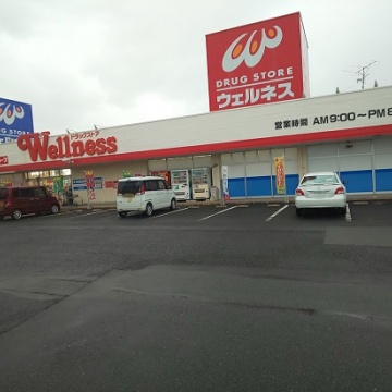 ドラッグストアウエルネス　大田店