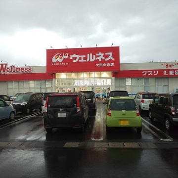 ドラッグストアウエルネス　大田中央店